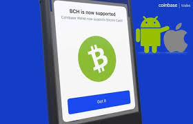 The bitcoin cash register app can be downloaded and setup in a matter of minutes. Bitcoin Cash Bch Rolls Out Ios Version Of Bitcoin Cash Register Blockboard