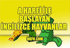 A Harfiyle Baslayan Ingilizce Hayvanlar Nkfu