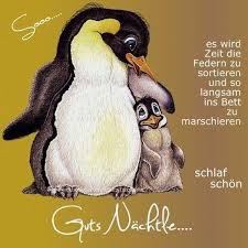 Liebe Gute Nacht Bilder Gratis 2 Gute Nacht Gute Nacht Bilder Nacht