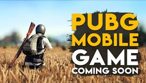Battlegrounds mobile india release date. Pubg Mobile India Release Could Be Delayed Techstory