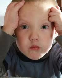 Lucky Fin Project added a new photo.