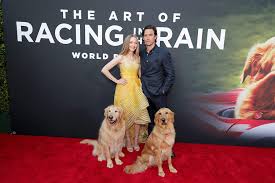 They are also quite different colors. All About The Dogs Who Play Enzo In The Art Of Racing In The Rain Movie Paws