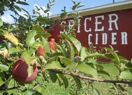 Orchards