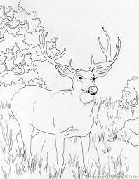 Parents may receive compensation when you click through and purchase from links contained on this website. Free Deer Coloring Pages Coloring Home