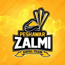 Peshawar zalmi png logo hblpsl t20. Peshawarzalmi On Twitter Yellowstorm Squad For Psl 6 Your Views Zalmi Yellowstorm