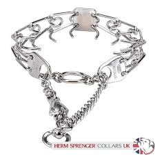 dog prong collar with quick release chrome plated dog