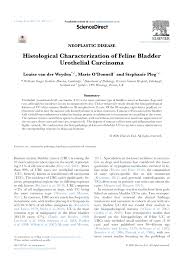 Without early detection and proper treatment, the prognosis for a cat with intestinal cancer is poor, and the condition can be fatal. Pdf Histological Characterization Of Feline Bladder Urothelial Carcinoma
