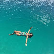 Image result for Alvesia