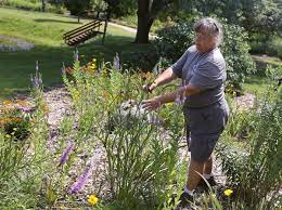 Check spelling or type a new query. Prairie Grasses And Plants Get Their Due In Northwest Ohio The Blade