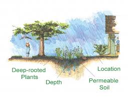 The section 8 housing program helps nee. Rain Gardens In Skagway Taiya Inlet Watershed Council