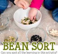 Bean Sort Easy Activity - Busy Toddler
