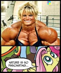 Hello, welcome to awesome world~!! Muscular Woman Nature Is So Fascinating Know Your Meme