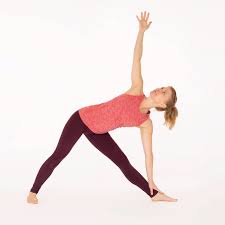 Pin By Larissa Albuquerque On Yoga Posicoes Yoga Poses Triangle Pose Upward Facing Dog Pose