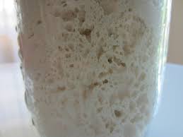 Nel rinfresco del lievito madre ci sono almeno 5 errori da evitare accuratamente: Conservare La Pasta Madre Solida In Tempo Di Vacanze Salentina In Cucina