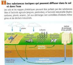 Plus de 6 milliards d'êtres humains en dépendent. Activite 3 Les Sols Une Ressource Fragile Site Des Sciences Au Lycee Chrestien De Troyes