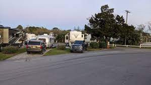 Venture south to arbor terrace rv resort in bradenton, fl! Https Www Campgroundreviews Com Regions Florida Jacksonville Fleetwood Rv Park 13152