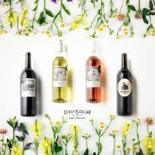 Clean Crafted Wine Wine Wine Subscription Wine Bottle