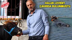 Rize Den Trabzon A Yuzen Boganin Sahibi Kararini Verdi Youtube