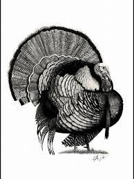 Black And White Turkey Tattoo Turkey Old Tom Turkey Art Turkey Hunting Birds