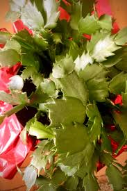 The showy flowers come in shades of pink and have a flower inside a. Christmas Cactus Guide How To Grow A Christmas Cactus