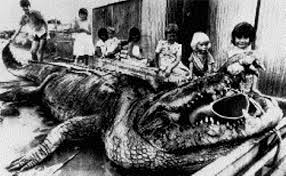 Penjelasan mengenai buaya terbesar di dunia mulai dari buaya lolong, puento noire, cassius, gomek, dominator, gustave, brutus, dll beserta gambarnya. Bujang Senang Adakah Sekadar Mitos Atau Kenyataan Ink Toner Pekat