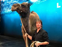 Rhayader 5 rare concert footage from a camel performance at the hammersmith odeon in 1976. Jesus Sight Sound Theatre Where When
