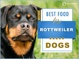 Best 6 Foods To Feed Your Adult And Puppy Rottweiler 2019