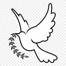 38+ dove coloring pages for printing and coloring. Doves Drawing Png White Dove Drawing Png Clipart 478658 Pinclipart