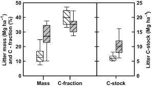 Image result for Aneulophus africanus