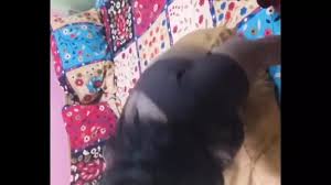 Indian Tamil Wife Sharing Hot: Amateur Amateur Porn by FapHouse