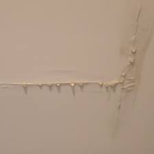 Ceiling Leaks Particularly Following Heavy Storms Are Common In Fact Leaks Like This One Need To Be Taken Care Of Q Ceiling Leak Flood Damage Flood Cleanup