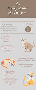 Acoustic healing and purr therapy. The Healing Abilities Of A Cats Purr Tiger Life