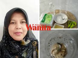 We did not find results for: Dah Puas Spray Dan Buat Macam Macam Cara Sudahnya Diy Perangkap Cicak Ini Juga Paling Berkesan Mingguan Wanita
