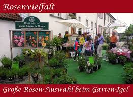 Igel überwintern gerne mal im heimischen garten. Garten Igel Das Gartencenter In Biberach A D Riss Ihr Gartenprofi