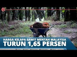 Daftar harga ongkir jne ke seluruh indonesia. Harga Kelapa Sawit Mentah Malaysia Turun 1 65 Persen Youtube