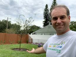 But sometimes a weak tree or a tree planted in a windy site will need to be staked for early tree care. Diy Tips For Planting Trees Yourself How To Plant A Tree Step By Step How To Care For A Newly Planted Tree The Diy Household Tips Guide