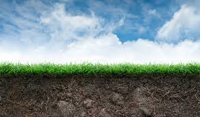 Specifically, hard dirt or compact soil is not going to do your grass seeds any favor. How To Plant Grass Seed On Hard Dirt Trusted Tips By Experts 2021