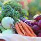 Produce Safety Alliance Grower Training - Live Oak event image