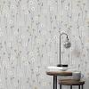 Its fixture has a brushed nickel coating. 1