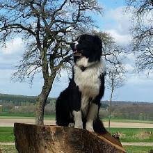 Carmen Bernhard • Community » outdooractive.com