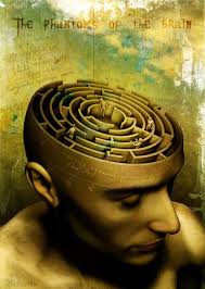 The Phantoms Of The Brain Labirynthe Labyrinthe Cerveau