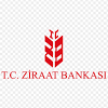 Maybe you would like to learn more about one of these? Https Encrypted Tbn0 Gstatic Com Images Q Tbn And9gcssi7h1u2kpkz N8ooildsgvk Qhwljtg1i7t4jsfu Usqp Cau