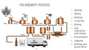 Beer Fermentation
