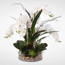 Overstock Com Online Shopping Bedding Furniture Electronics Jewelry Clothing More Orchid Flower Arrangements Orchids Flower Arrangements