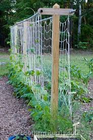 Vertical Gardening Front 0762 Jardins Verticaux Jardins Potagers Verticaux Jardinage