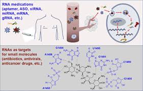 Comparatively, mrna vaccines confer several advantages over viral vectored vaccines and dna vaccines (summary in table 1). Rna Drugs And Rna Targets For Small Molecules Principles Progress And Challenges Pharmacological Reviews