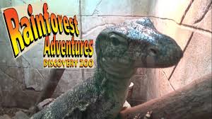 You'll see tropical birds, monkeys, crocodiles, colorful frogs and warm fuzzy creatures like sheep, goats, llamas, pigs etc. Rainforest Adventures Discovery Zoo In Sevierville Pigeon Forge Tennessee Tour Review Youtube