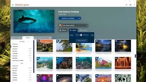 I set it to start at windows startup and high priority (also did the other option where it was. Best Wallpaper Engine Alternatives For Windows Pc Similar Softwares