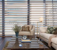 Hd product engineers took a fresh look at roller shades, taking the best from decades of experience to create the rb 500 system. Pirouette Shades Light Filtering Room Darkening Shades San Antonio