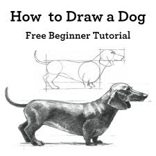 After that, you can proceed to the next step. 30 Ways To Draw Dogs Diy Projects For Teens